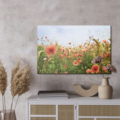 Ljuddämpande tavla - Poppies in the meadow