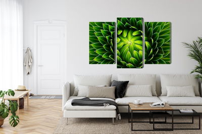 Ljuddämpande tavla - Green plant on a macro scale