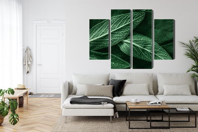 Ljuddämpande tavla - Salvia leaves on a macro