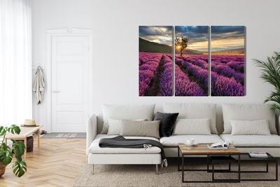 Ljuddämpande tavla - Lavender field at sunset 3d