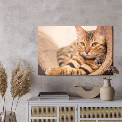 Ljuddämpande tavla - Bengal cat