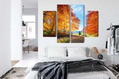 Ljuddämpande tavla - Colorful autumn trees