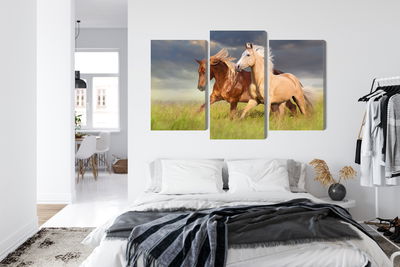 Ljuddämpande tavla - Horses galloping in a 3d