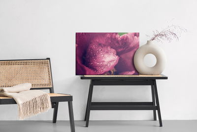 Ljuddämpande tavla - Peony roses with dew