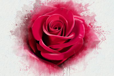 Ljuddämpande tavla - Up close painted