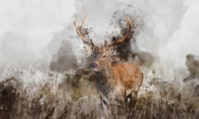 Ljuddämpande tavla - A deer painted with 3d