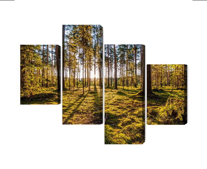 Ljuddämpande tavla - 3d sunny forest landscape