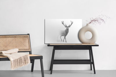 Ljuddämpande tavla - Deer in black and white