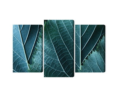 Ljuddämpande tavla - Leaves in a macro scale