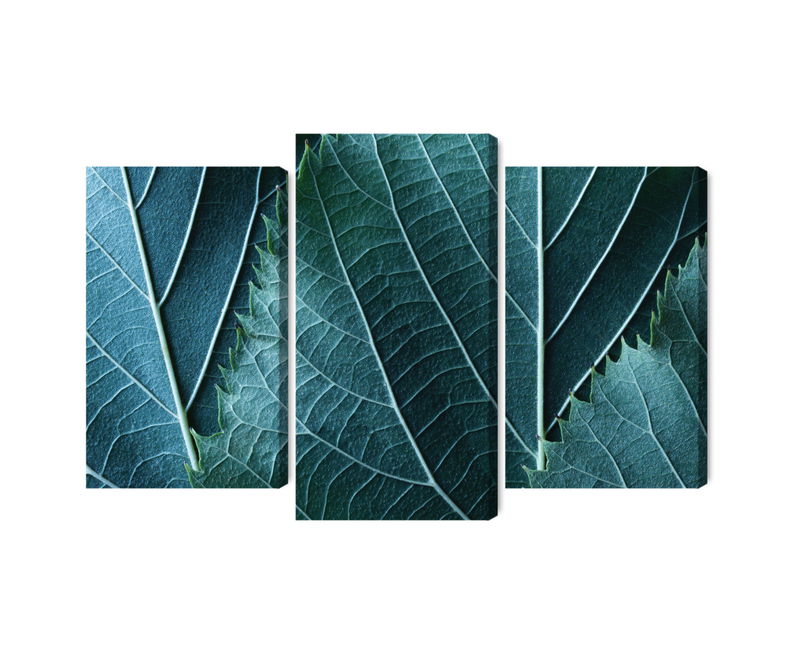 Ljuddämpande tavla - Leaves in a macro scale