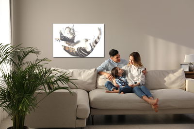 Ljuddämpande tavla - Cat painted with watercolor