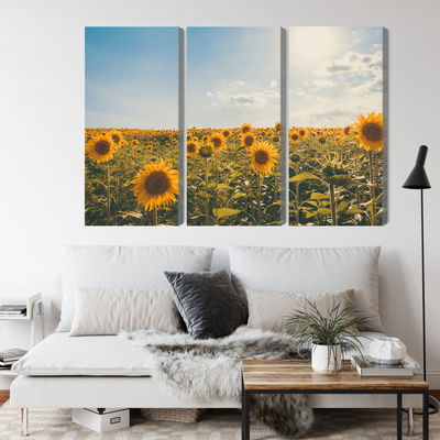 Ljuddämpande tavla - Sunflower field on a summer