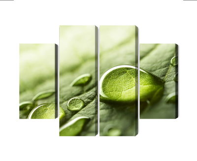 Ljuddämpande tavla - Water drops on a leaf