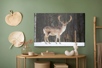 Ljuddämpande tavla - Deer on the background