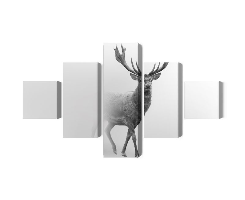 Ljuddämpande tavla - A stately deer in the fog