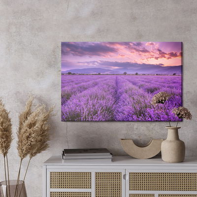 Ljuddämpande tavla - Beautiful lavender landscape