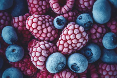 Ljuddämpande tavla - Frozen blueberries