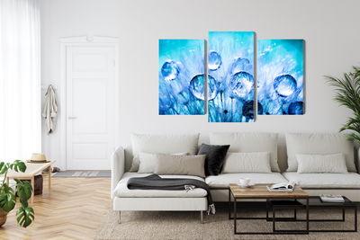 Ljuddämpande tavla - Dew drops on dandelion seeds