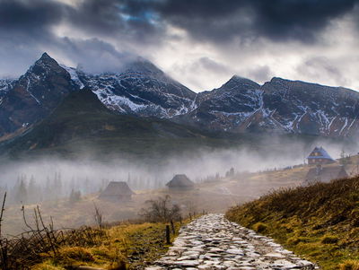 Ljuddämpande tavla - Misty landscape with hala