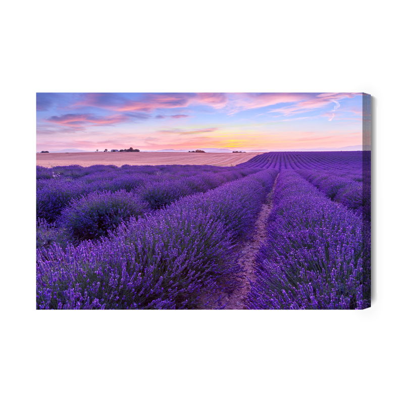 Ljuddämpande tavla - Lavender field