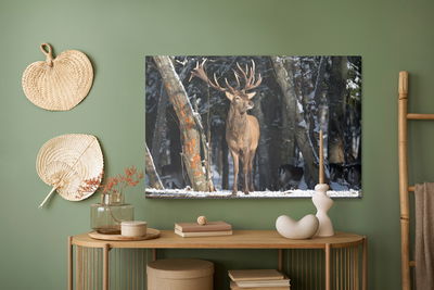 Ljuddämpande tavla - A deer among the trees