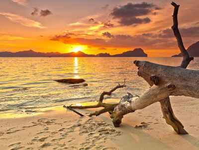 Ljuddämpande tavla - Sea landscape at sunset