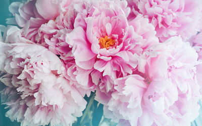 Ljuddämpande tavla - 3d peony bouquet