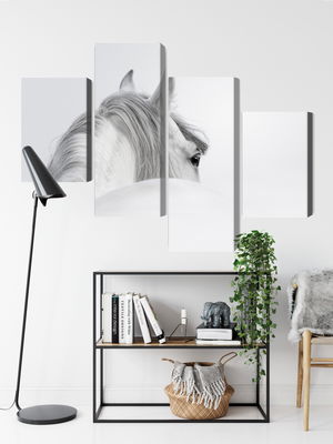 Ljuddämpande tavla - Andalusian horse in the fog
