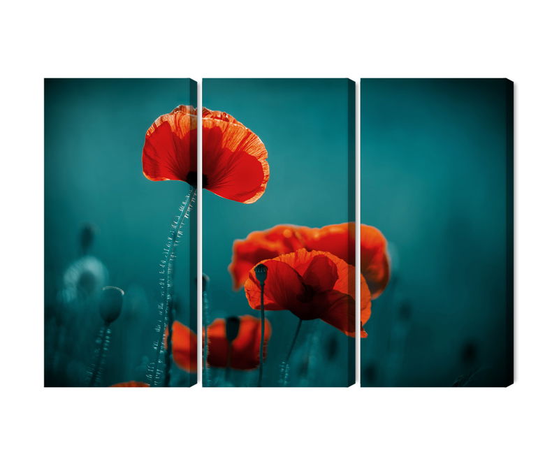 Ljuddämpande tavla - Macro poppies