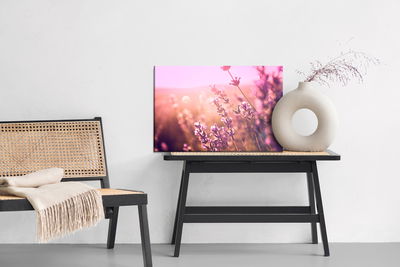 Ljuddämpande tavla - Lavender flowers in the sun