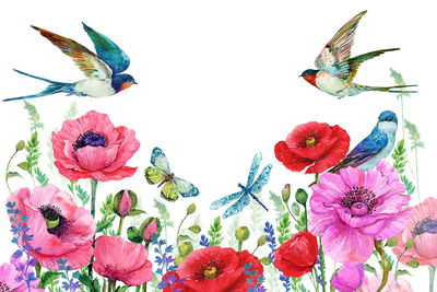 Ljuddämpande tavla - Watercolor poppies