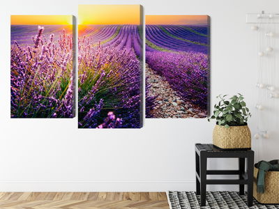 Ljuddämpande tavla - Lavender field at sunset 3d