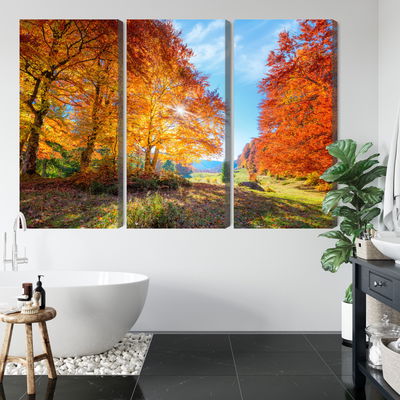 Ljuddämpande tavla - Colorful autumn trees