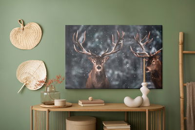 Ljuddämpande tavla - Two magnificent stags