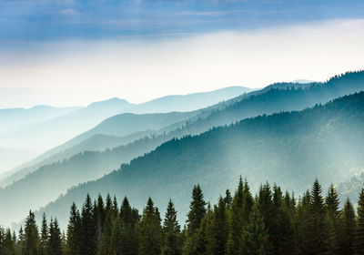 Ljuddämpande tavla - Majestic 3d mountain