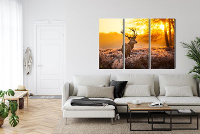 Ljuddämpande tavla - Deer in the forest at sunset