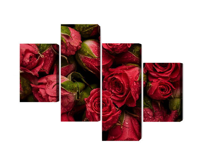 Ljuddämpande tavla - Roses with water drops