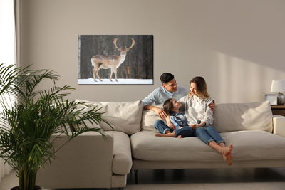 Ljuddämpande tavla - Deer on the background