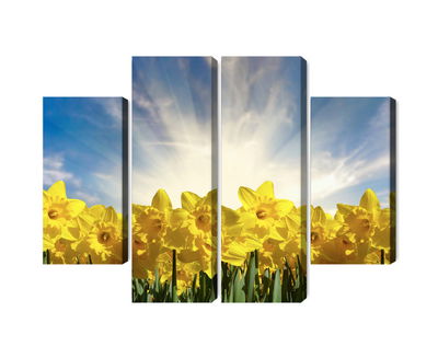 Ljuddämpande tavla - 3d daffodils field