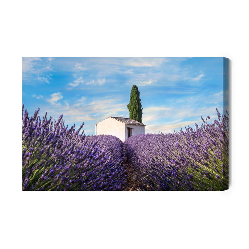 Ljuddämpande tavla - Beautiful lavender flowers