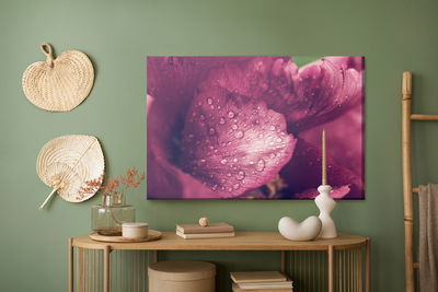 Ljuddämpande tavla - Peony roses with dew