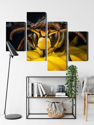 Ljuddämpande tavla - Wasp on a macro scale