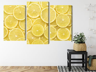 Ljuddämpande tavla - Lemon slices