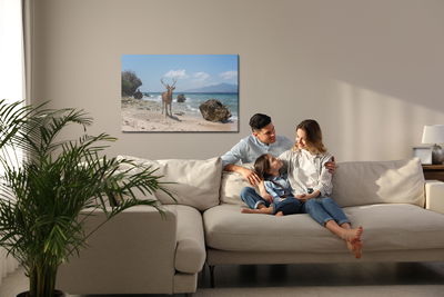 Ljuddämpande tavla - Deer on the beach