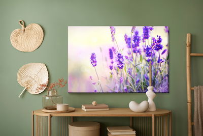 Ljuddämpande tavla - Delicate lavender