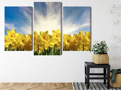 Ljuddämpande tavla - 3d daffodils field