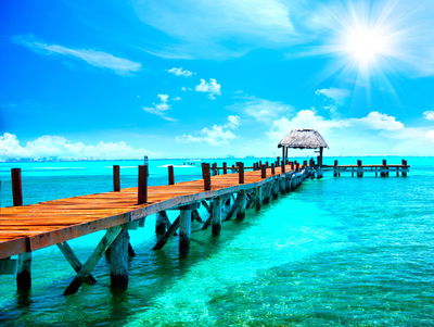 Ljuddämpande tavla - Sunny landscape