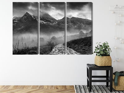 Ljuddämpande tavla - Hala gasienicowa in black