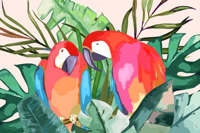Ljuddämpande tavla - Parrots and tropical leaves