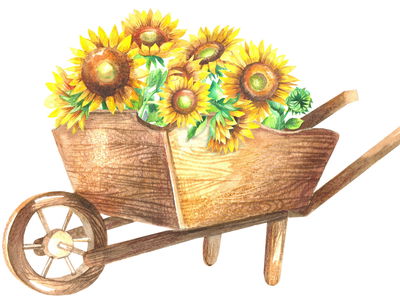 Ljuddämpande tavla - Sunflowers in a wooden